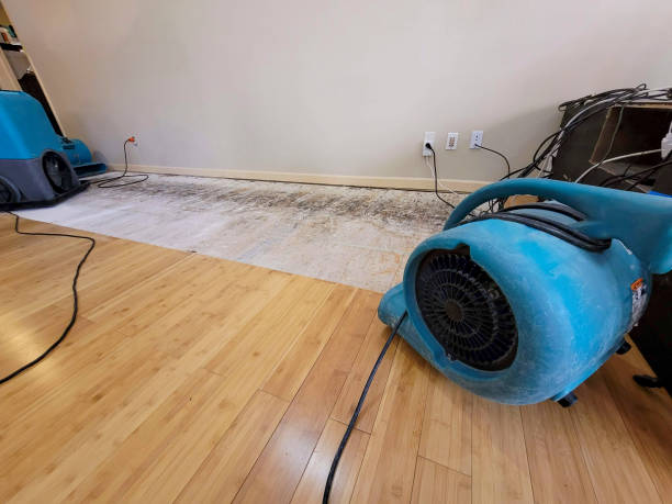 Professional Basement Flood Cleanup technician working in Hilltop, WV